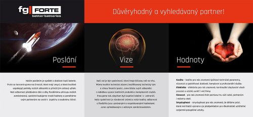 Poslání, vize, hodnoty